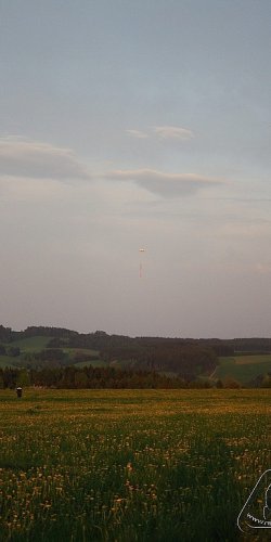 2012 Svojek mirek patek